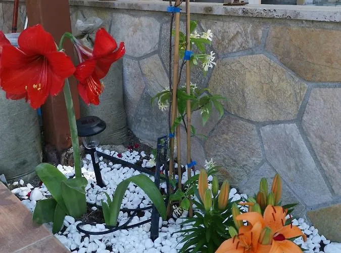 Case de vacanță Purple_rose_apartment